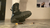 Combat Boot Crunch