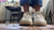 Hisser Sneaker