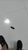 Tai Finds Roaches