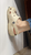 Wall Smash 3