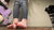 Tiny Trample [Proto 3]