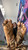 Superworm Smosh 3