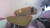 Underglass Roach 28