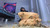 Sub-Mushfest 5