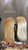 Uggs Cruncher 2