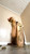 Inshoe Snails 3