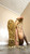 Inshoe Snails 3