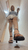 Tiny Trample 40