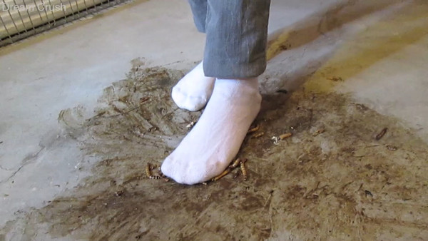 Socks Stuck Stuck on Her Socks - Dream Crush