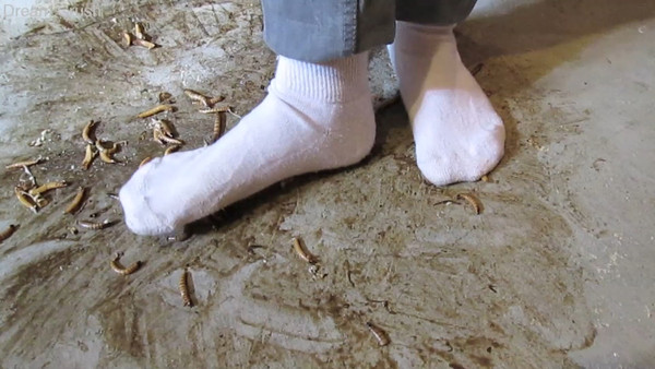 Socks Stuck Stuck on Her Socks - Dream Crush