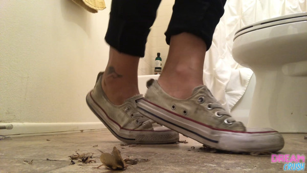 Worn Chucks V