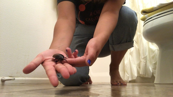 Lilah's First Hisser