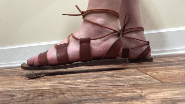 Sandals [Surplus]