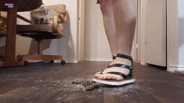 Sandal Squisher