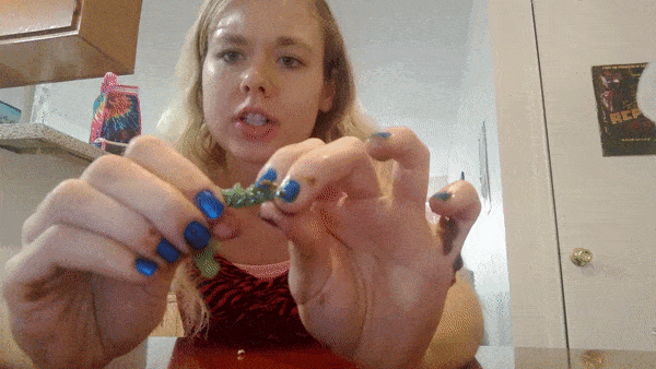 Slinky Squish