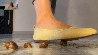 Flats Flatten Snails