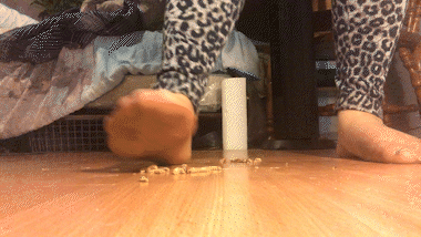 Waxworm Mush View #2