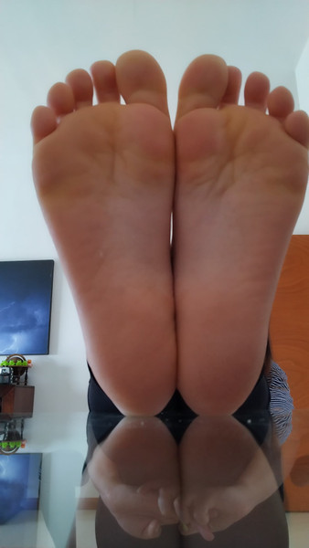 Elenas Soles