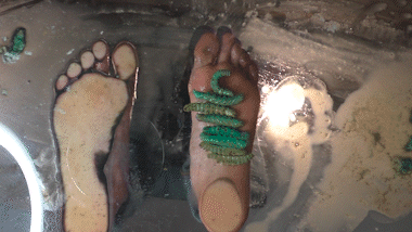 Loathsome Larvae 4
