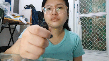 Hand Squeeze