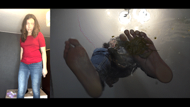 Underglass Craws [Dual View]