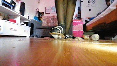 Snail Mash