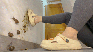 Wall Smash 7