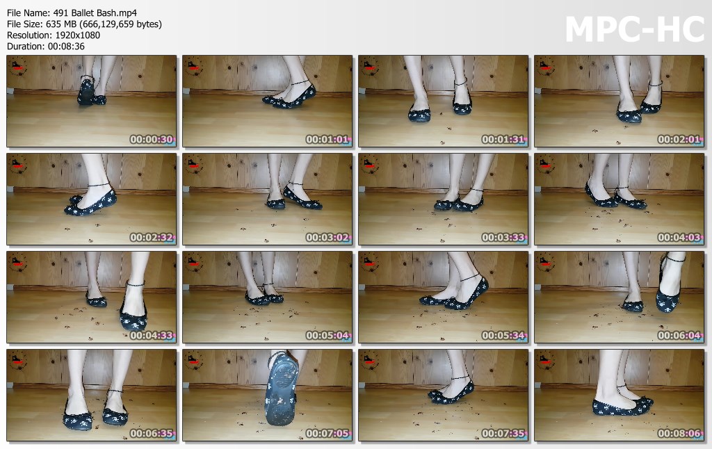 491-ballet-bash.mp4-thumbs.jpg