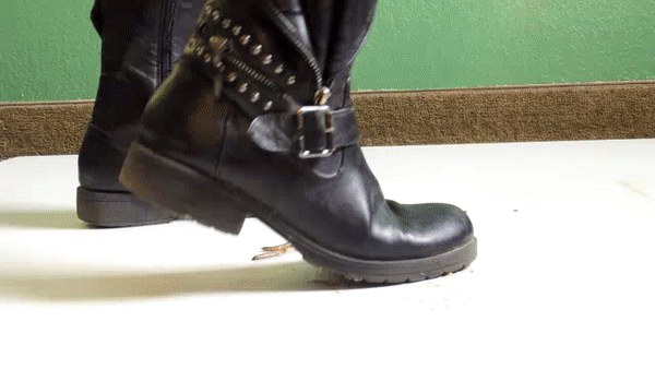 booted-by-scarlett.gif