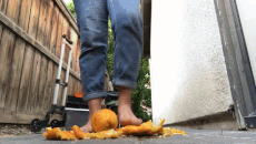 simulated-squirting-ix-com.gif