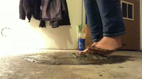 squirt-view-2-gif.gif
