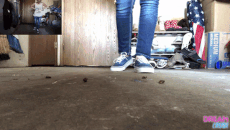 vanquishing-vans-com.gif