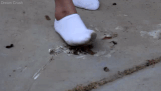 white-socks-white-guts-com.gif