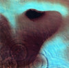 Pink Floyd - Meddle - LP Vinyl