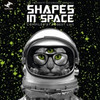 Various Artists - Shapes In Space - 2x LP Vinyl