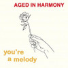 Aged In Harmony - You're A Melody - 3x 7" Vinyl+Magazine