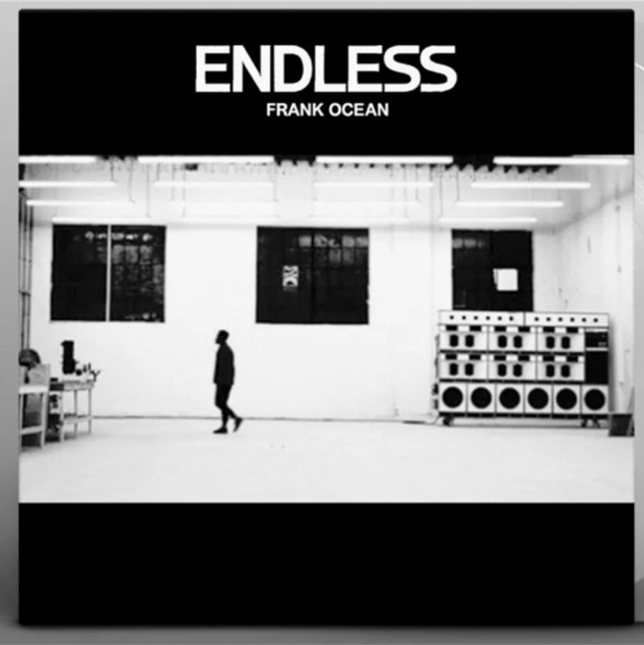 Frank Ocean Endless LP レコード　Vinyl