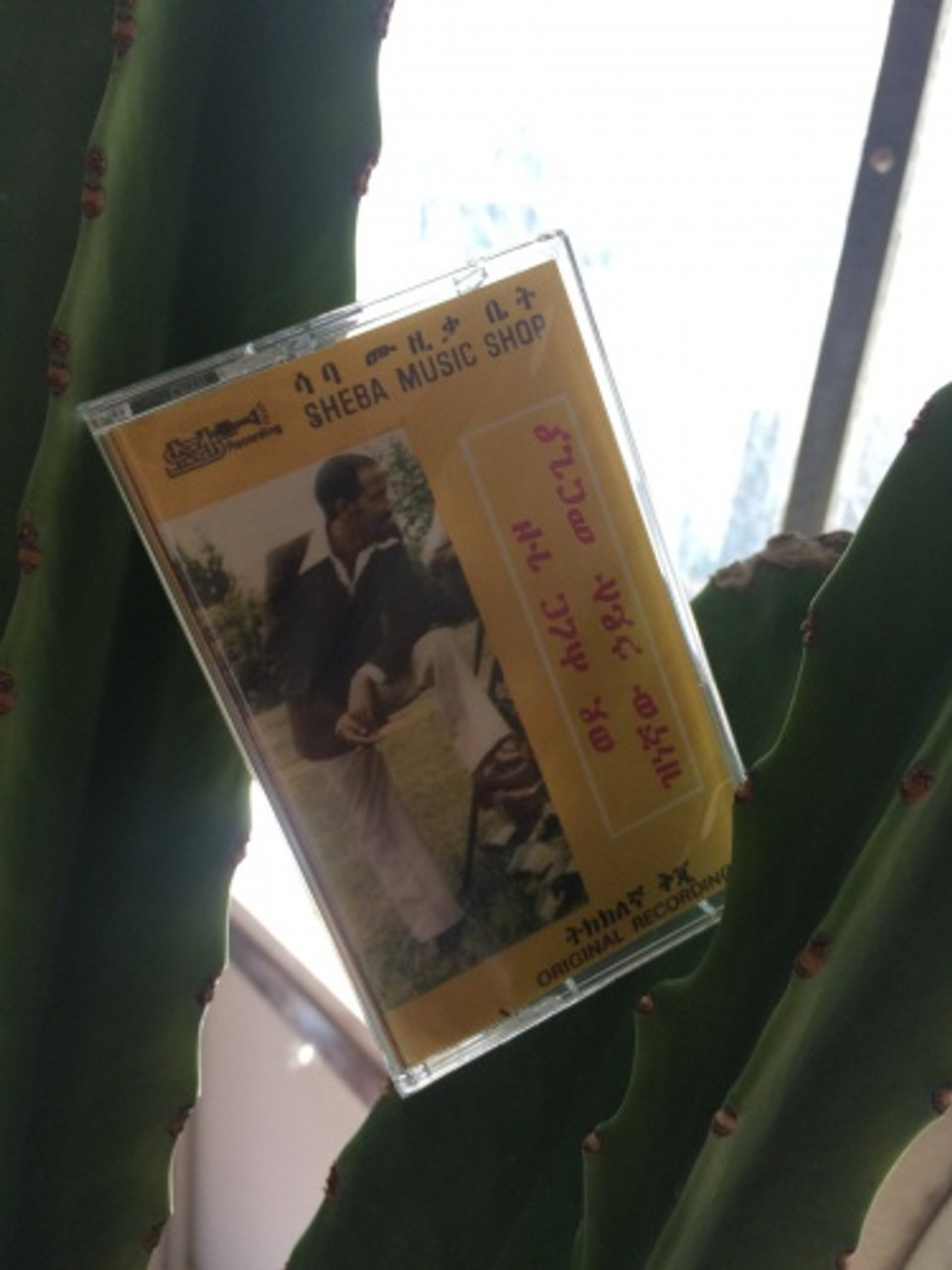 Hailu Mergia & Dahlak Band - Wede Harer Guzo - Cassette - Ear