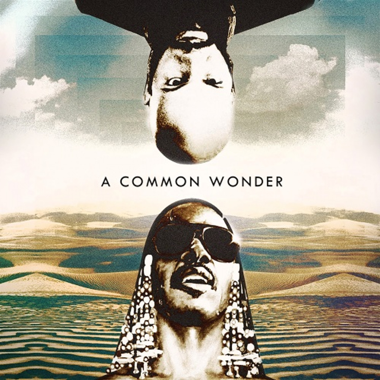 Common vs. Stevie Wonder - A Common Wonder - 2x LP Vinyl