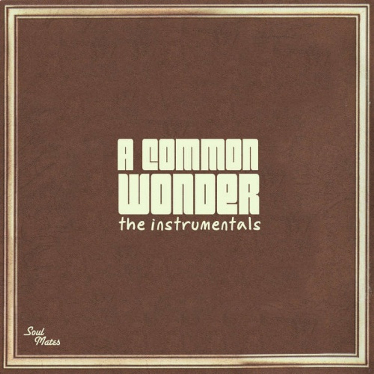 Common Vs. Stevie Wonder - A Common Wonder Instrumentals - 2x LP Vinyl