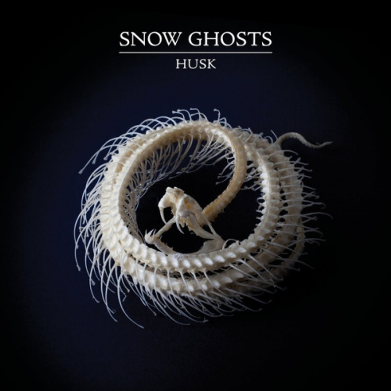 Snow Ghosts - Husk - 12