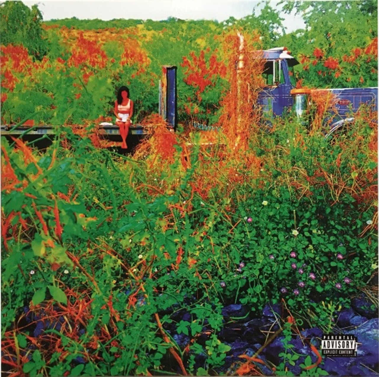 Jhene Aiko - Trip - 2x LP Vinyl