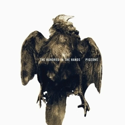The Hundred In The Hands - Pigeons - 12" Vinyl