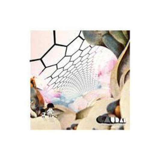 Caural - Remembering Today LP - 12" Vinyl Caural - Remembering Today LP - 12" Vinyl