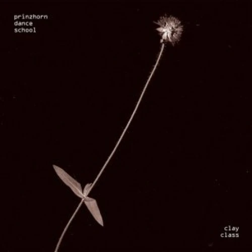 Prinzhorn Dance School - Clay Class - 12" Vinyl