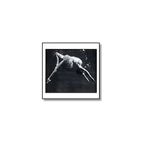 North Sea - Tacazze Sunbirds - 12" Vinyl
