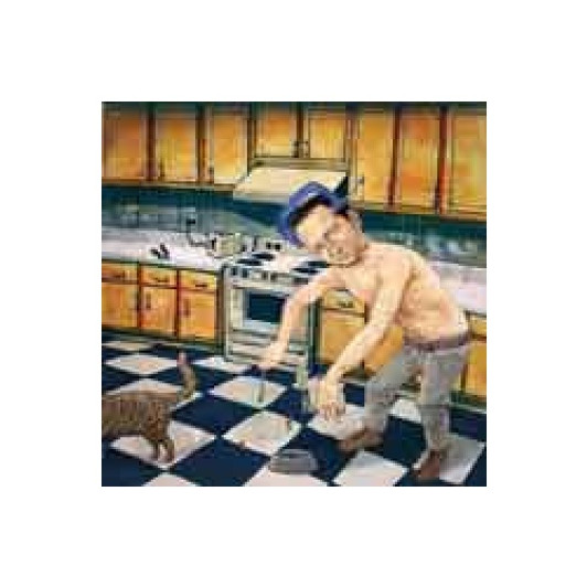 Sj Esau - Wrong Faced Cat Feed LP - 12" Vinyl Sj Esau - Wrong Faced Cat Feed LP - 12" Vinyl