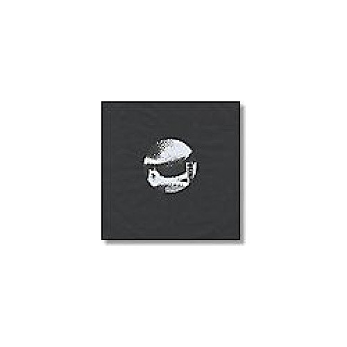 Shemale - Beyond the North Wind - 12" Vinyl
