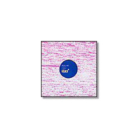 Peter Grummich - Moondancer - 12" Vinyl Peter Grummich - Moondancer - 12" Vinyl