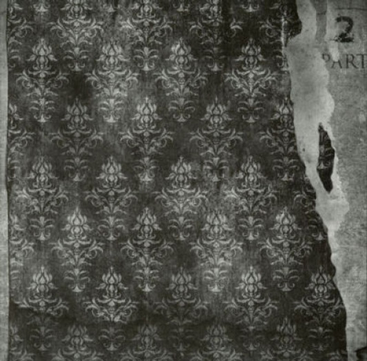 Indignant Senility - Plays Wagner Pt 2 - 12" Vinyl Indignant Senility - Plays Wagner Pt 2 - 12" Vinyl